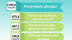 Что составляет доход в Золла