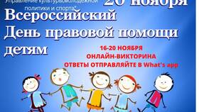 Что такое Декларация прав ребенка в Золла