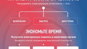 Что значит нулевое сальдо в Золла
