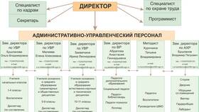Директор как орган юридического лица в Золла