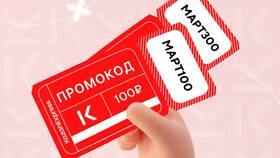 Как написать отзыв на Казань Экспресс в Золла