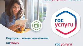 Как оформить инвалидность через Госуслуги в Золла