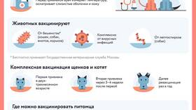 Как погасить ветеринарное свидетельство в системе Меркурий в Золла