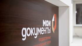 Как получить ИНН через МФЦ в Золла