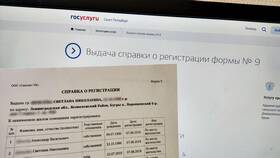Как получить справку об обучении через Госуслуги в Золла