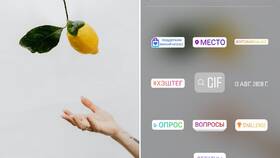 Как превратить фото в стикер в Золла