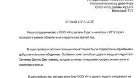 Как провести аудит ООО в Золла