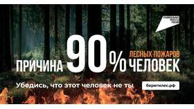 Как размер зарплаты влияет на размер пенсии в Золла