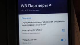 Как связаться с поддержкой Wildberries в Золла