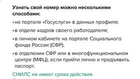 Как узнать про СНИЛС в Золла