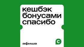 Как выбрать кэшбэк в Сбербанке СберСпасибо в Золла