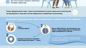 Как заказать справку для лагеря через Госуслуги в Золла