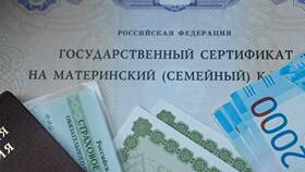 Как законно получить материнский капитал наличными в Золла