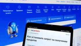 Как запретить выдачу кредитов через Госуслуги: пошаговая инструкция в Золла