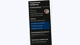 Как зарегистрировать аккаунт на Авито в Золла