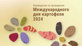 Почему 3 процента: значение и происхождение показателя в Золла