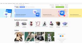 Почему на Авито платное размещение автомобилей в Золла