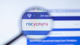 Почему не подтверждается паспорт в Госуслугах в Золла