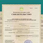 Как получить выписку ИНН из налоговой службы