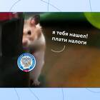 Оформление самозанятости и налоговые платежи в 2025 году